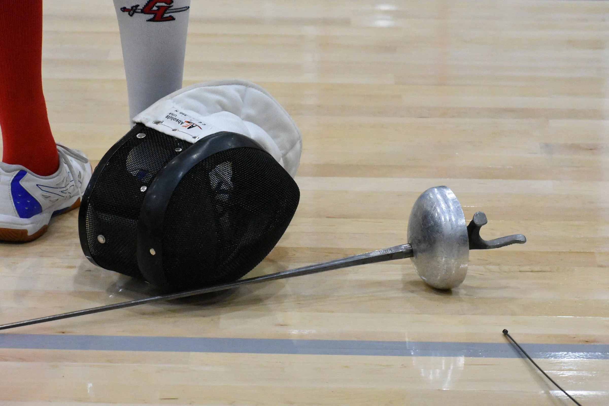 fencing_n76.jpg
