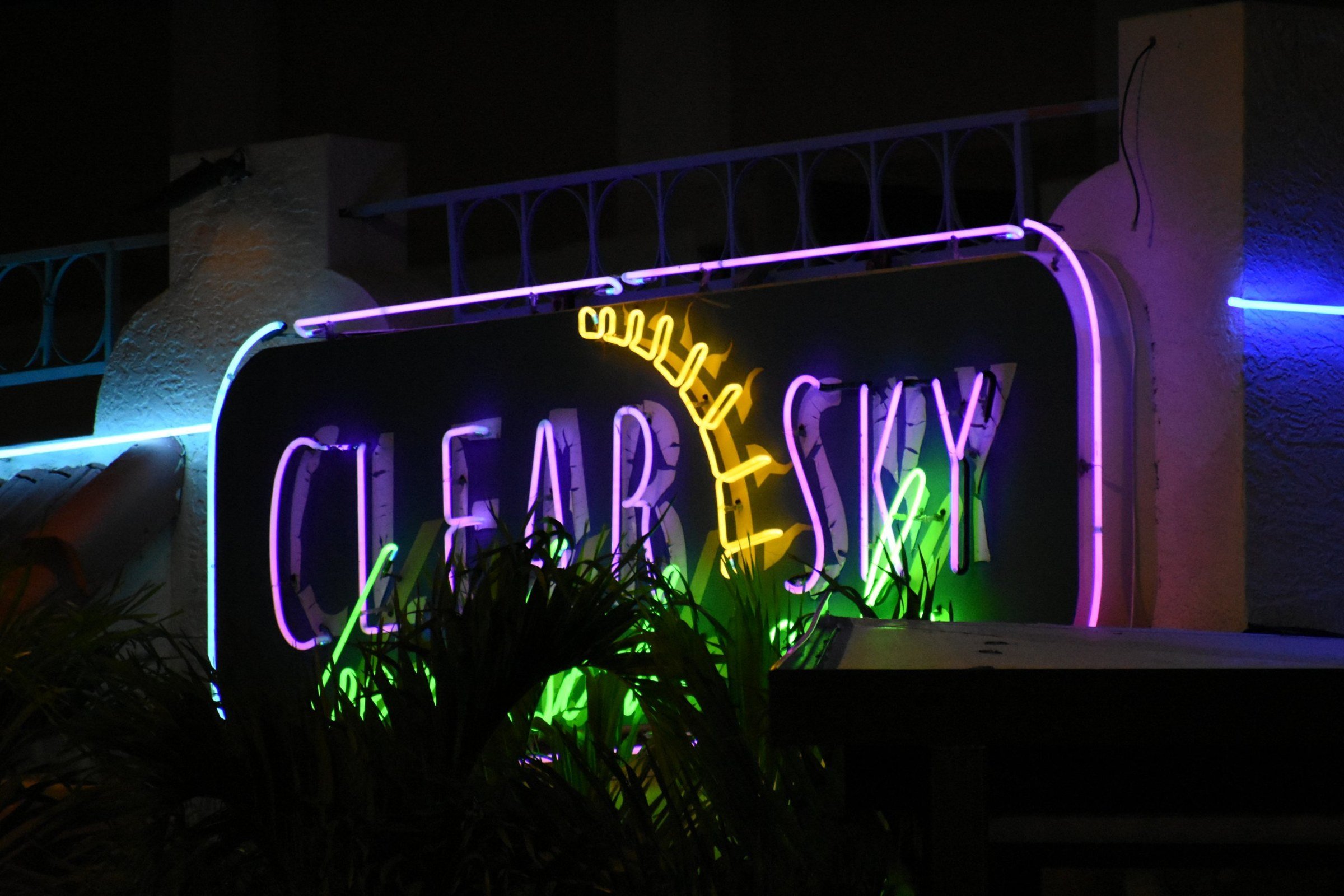 c_05.jpg