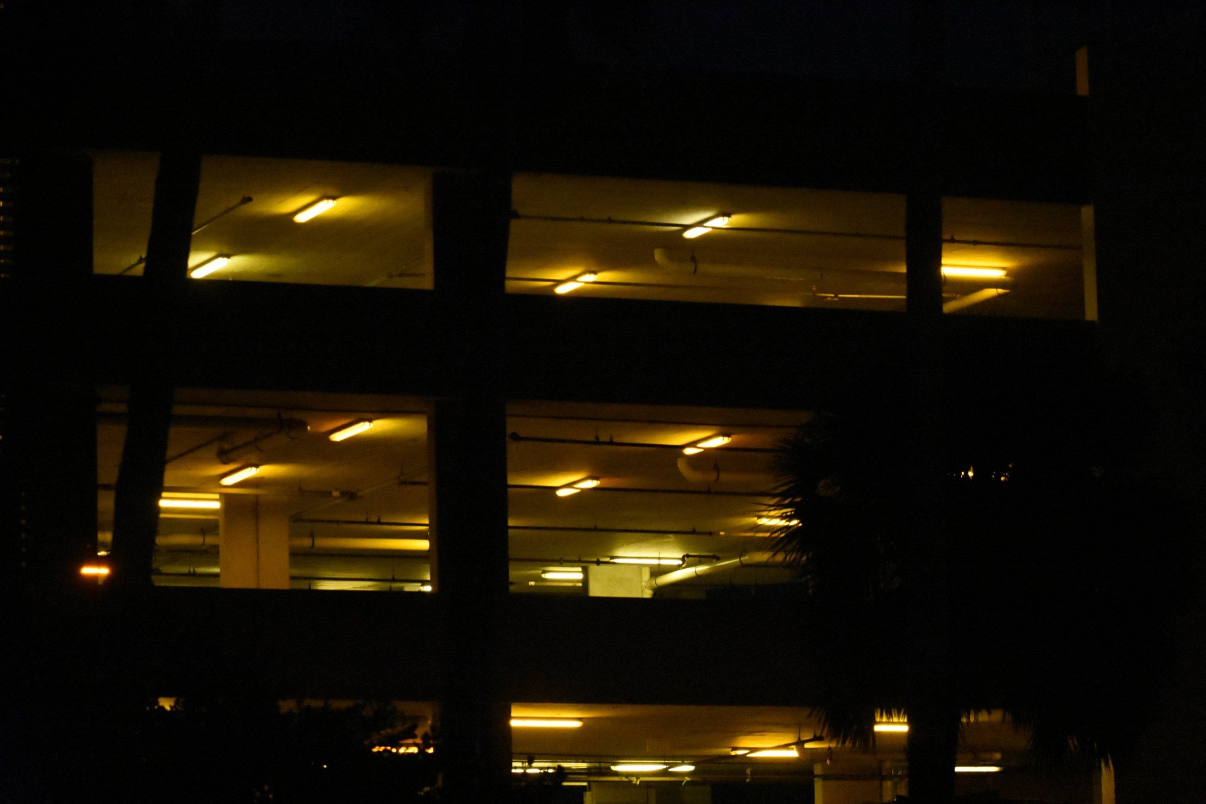 n_08.jpg