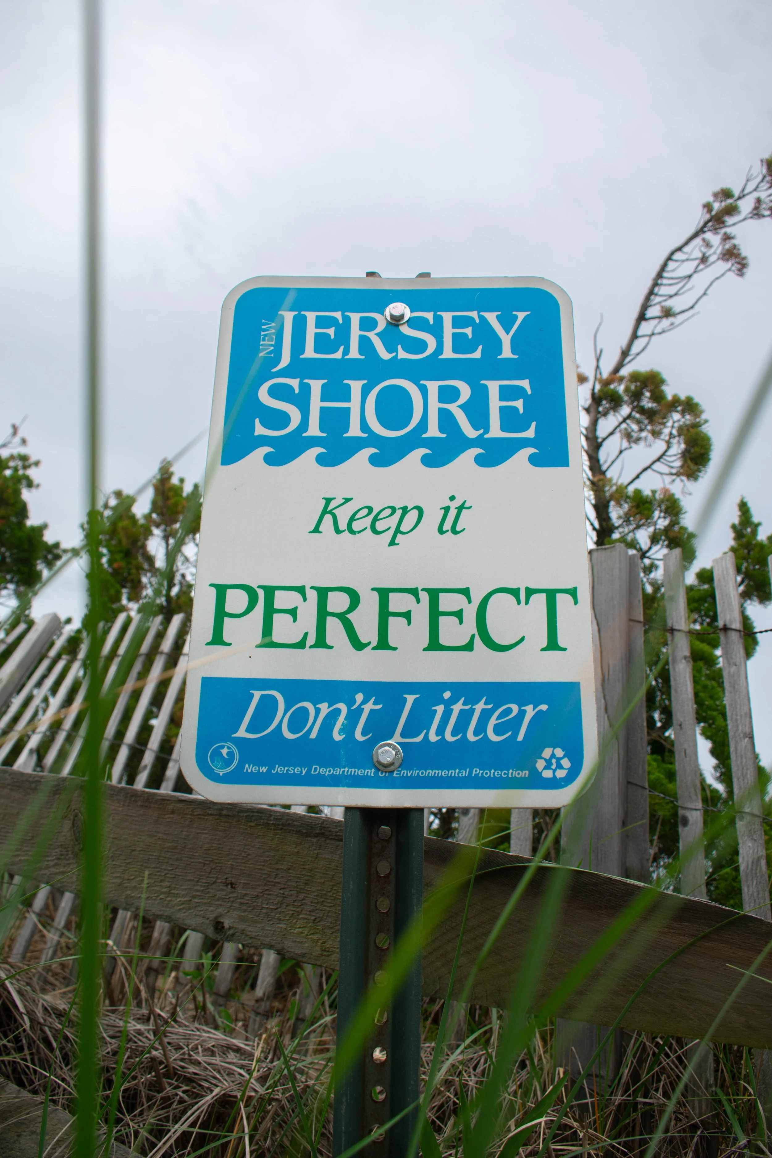 DSC_0016.jpg