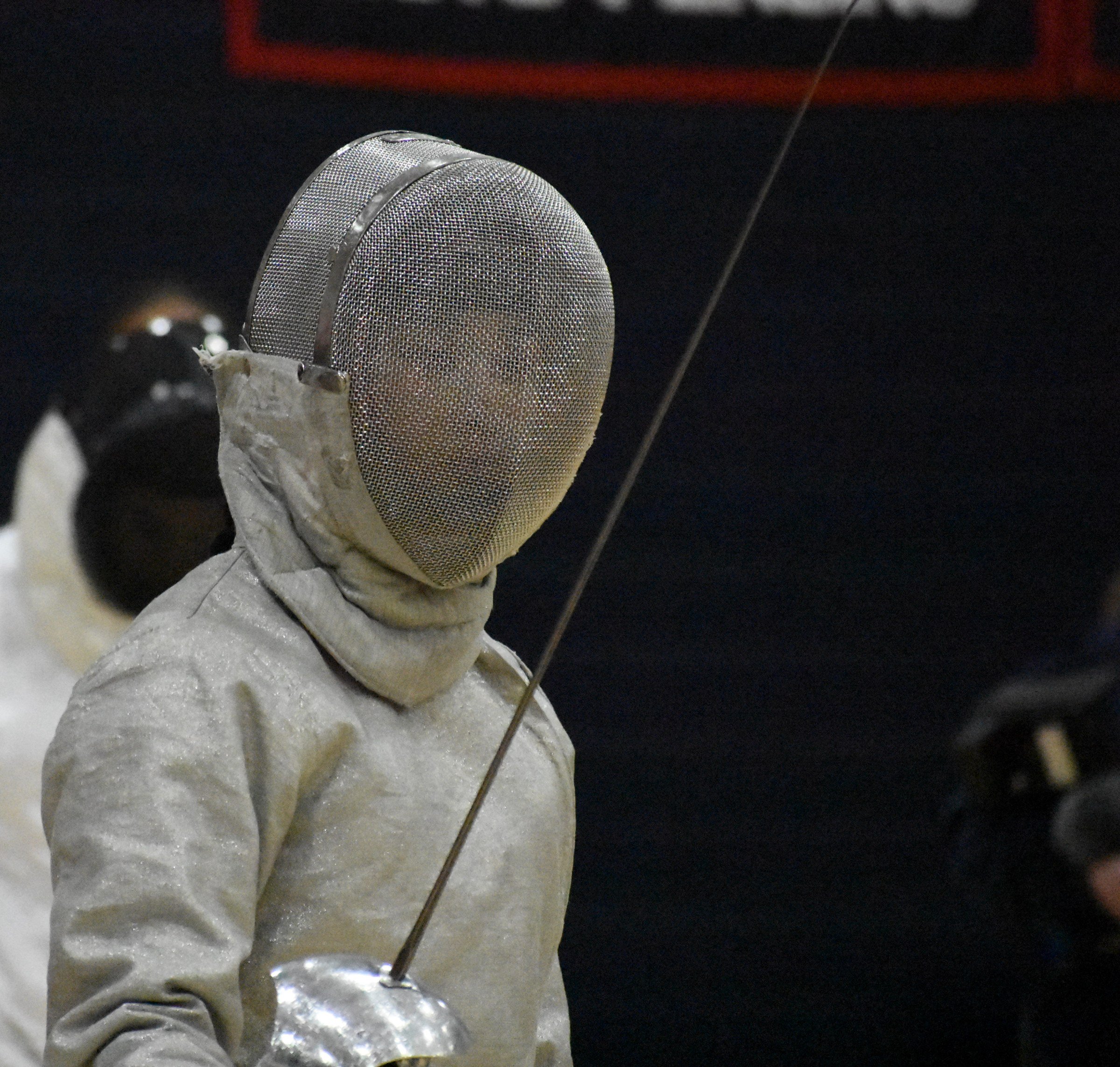 fencing_n16.jpg