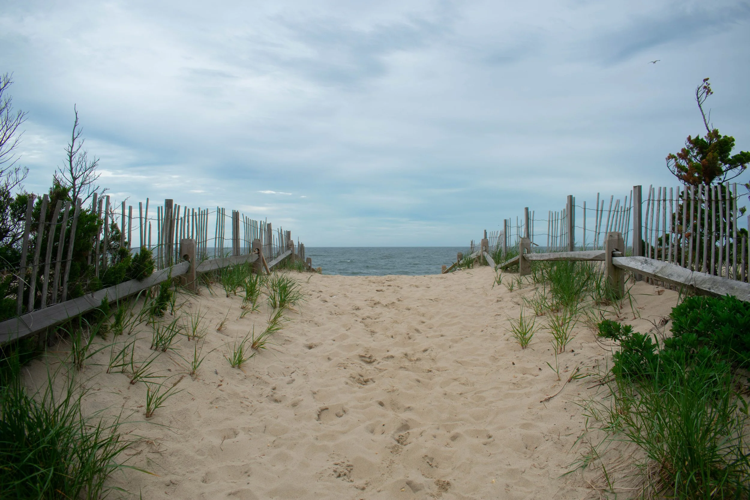 DSC_0019.jpg
