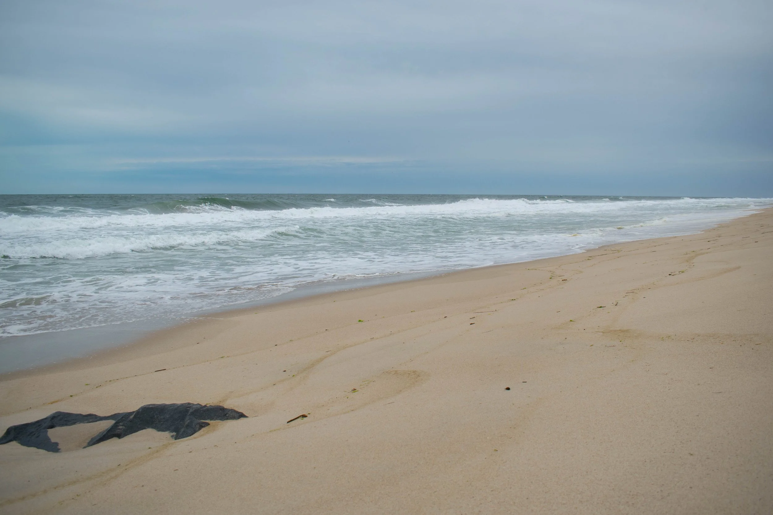 DSC_0034.jpg