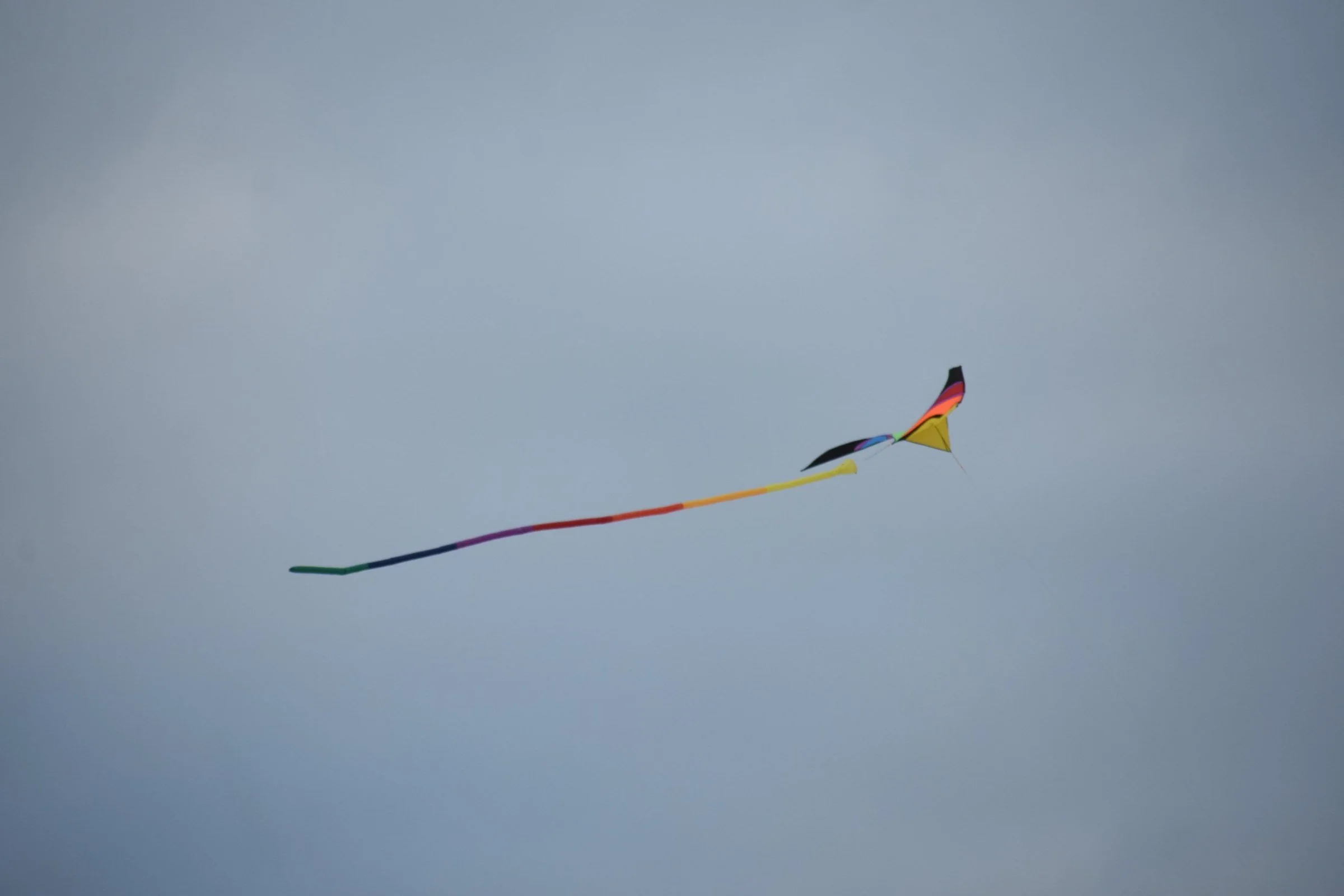 kite.jpg