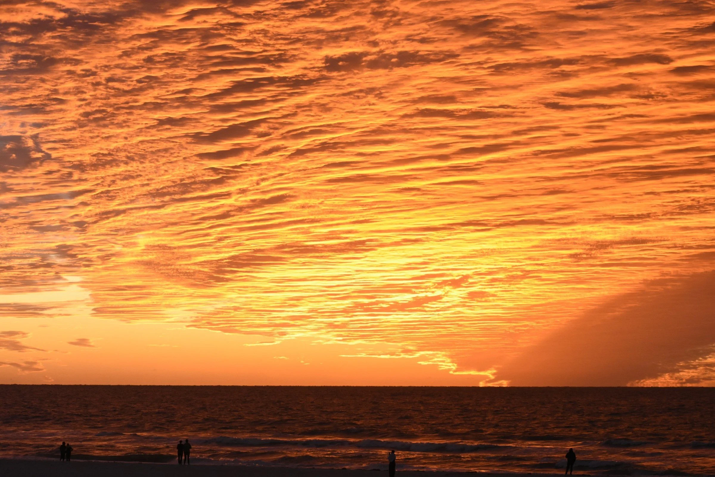 fl_05.jpg