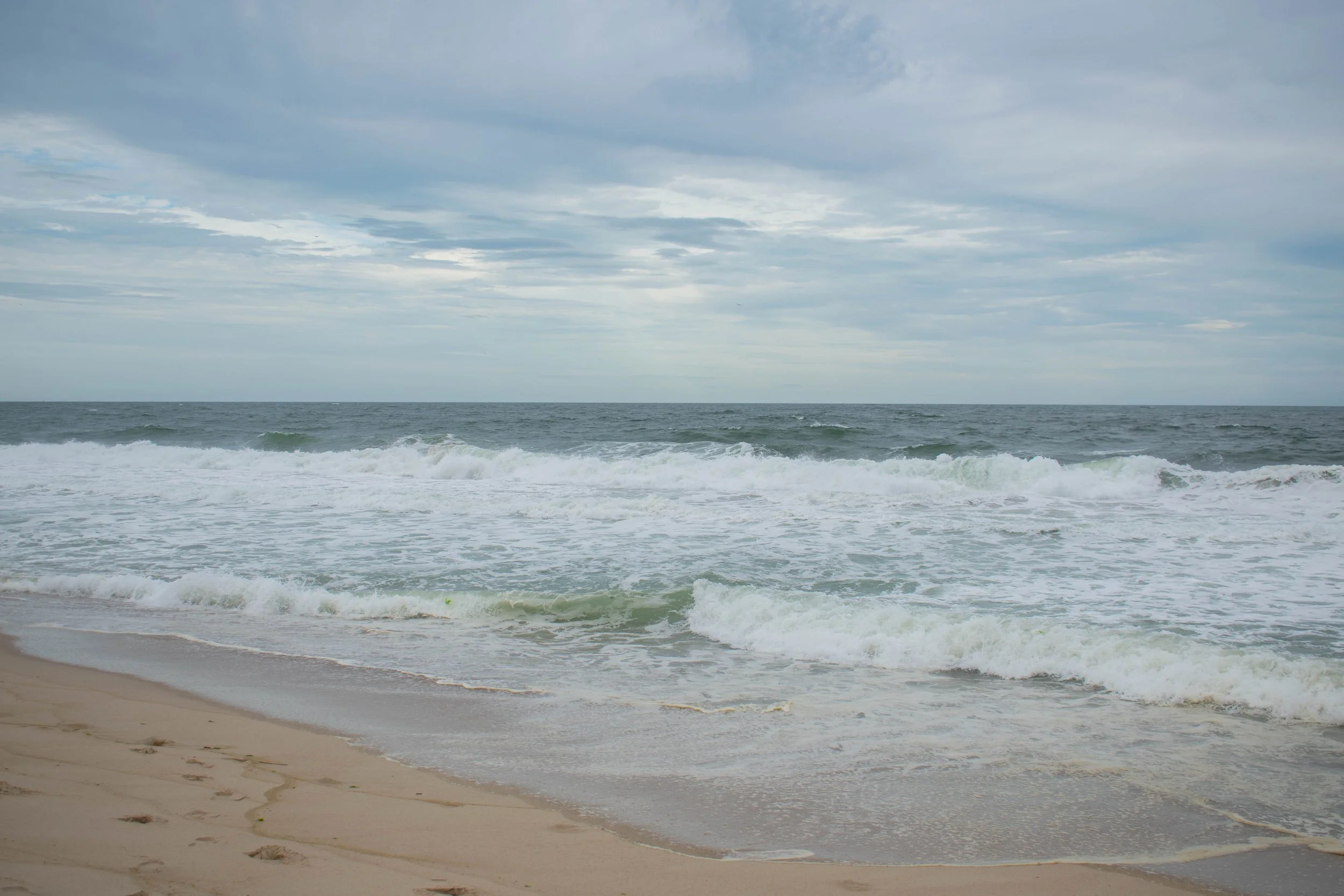 DSC_0051.jpg