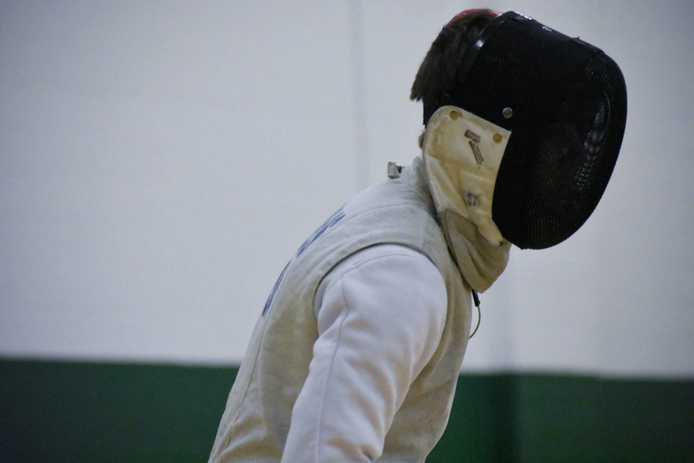 fencing_13.jpg