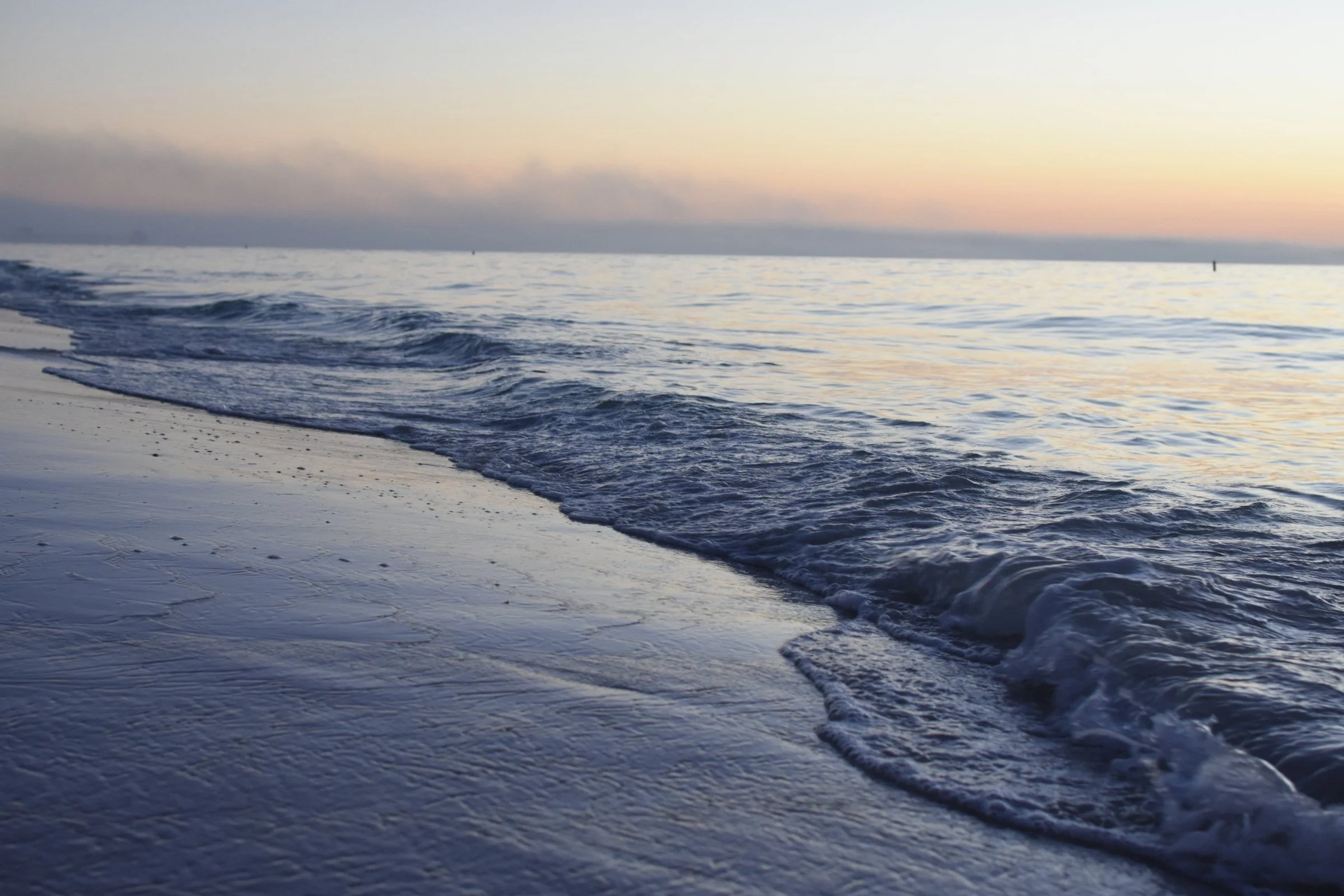 fl_02.jpg