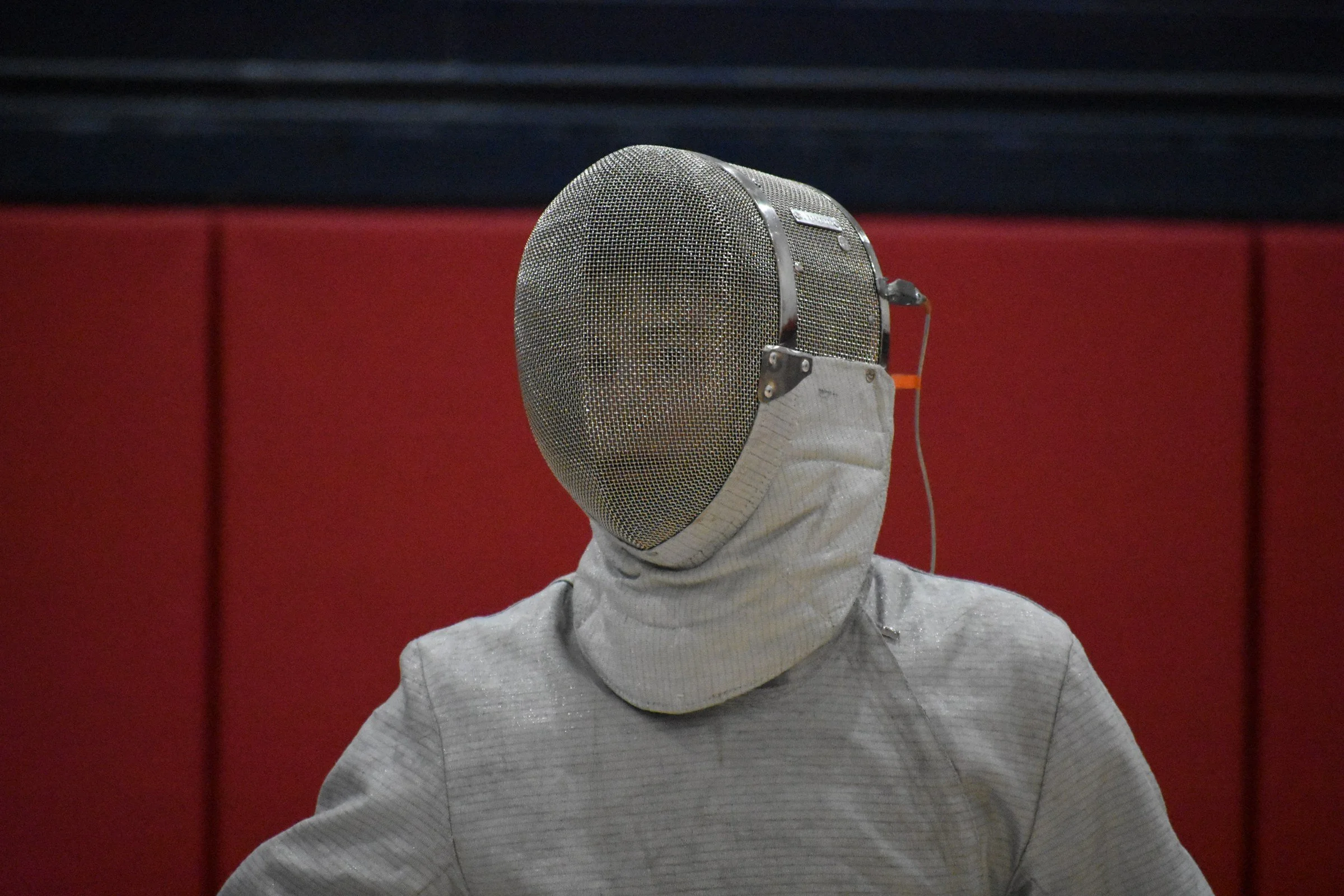 fencing_n78.jpg