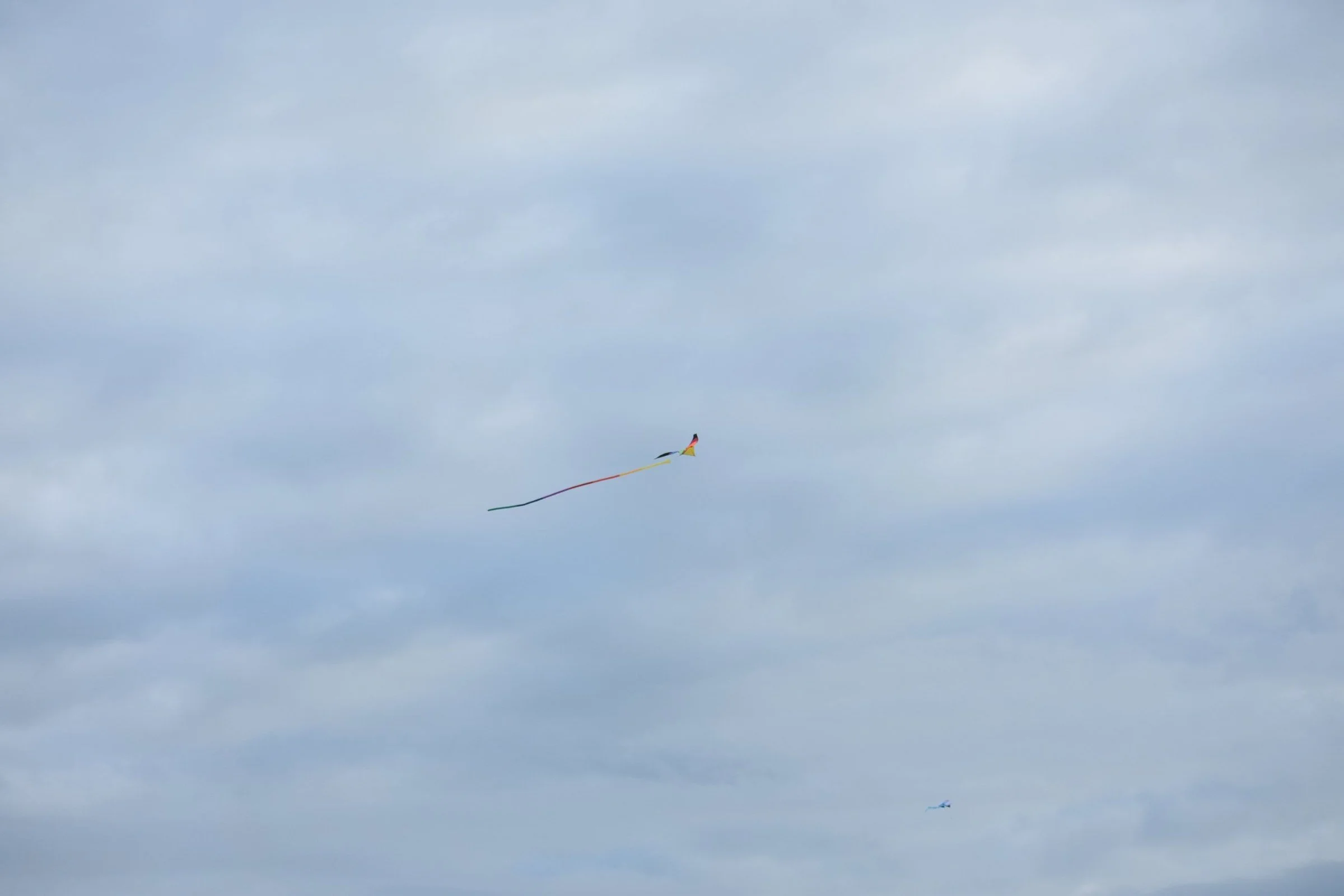 kite.jpg