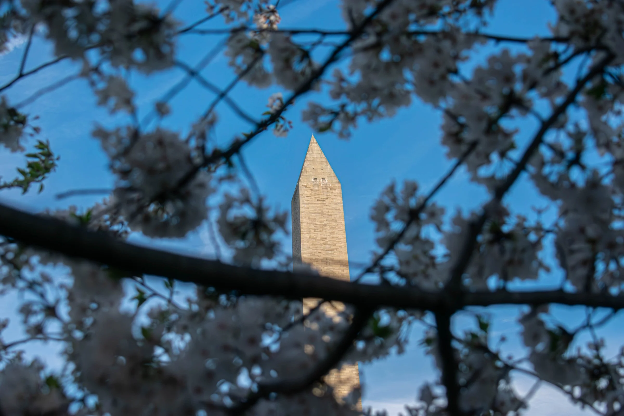 dc_0358.jpg