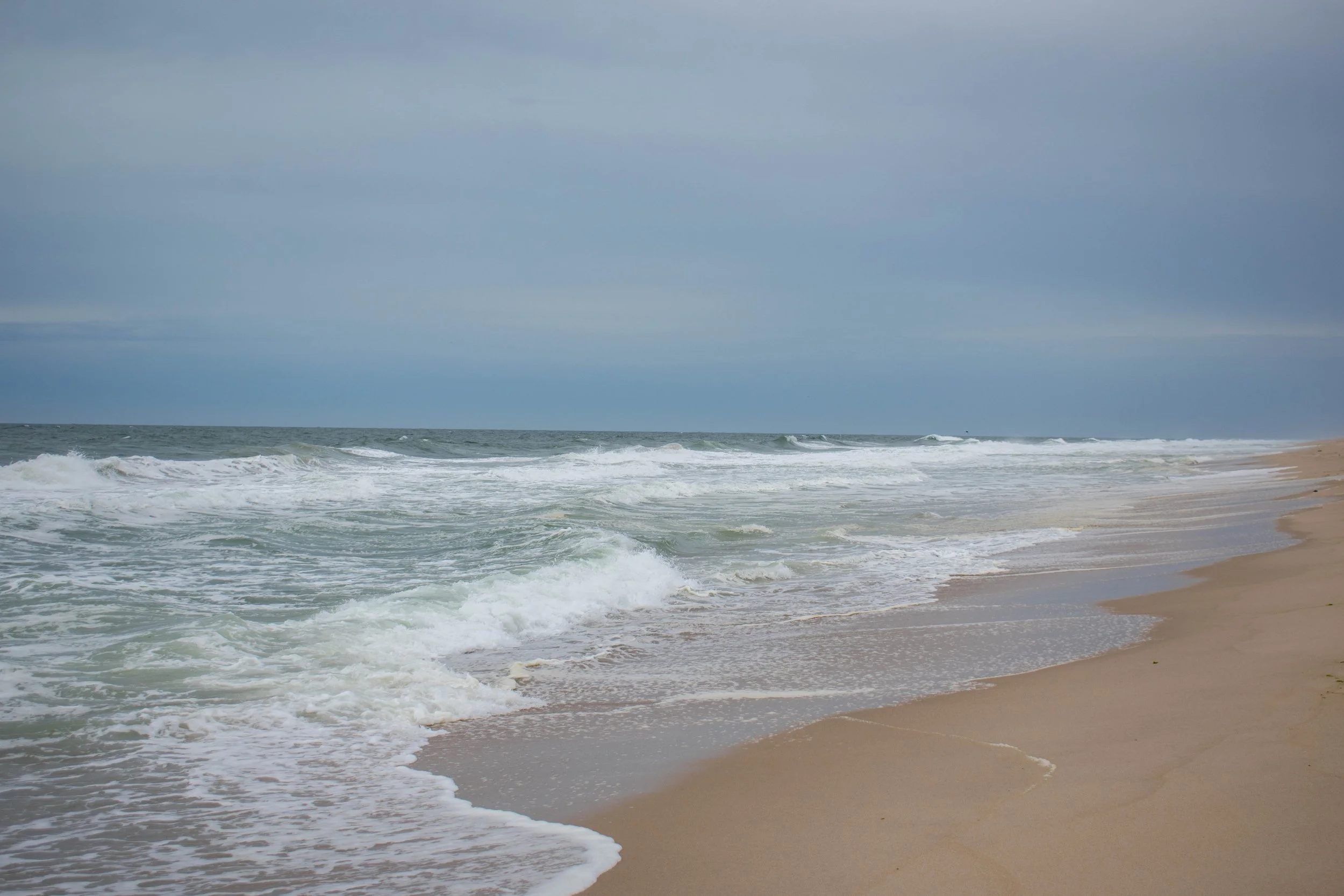 DSC_0039.jpg