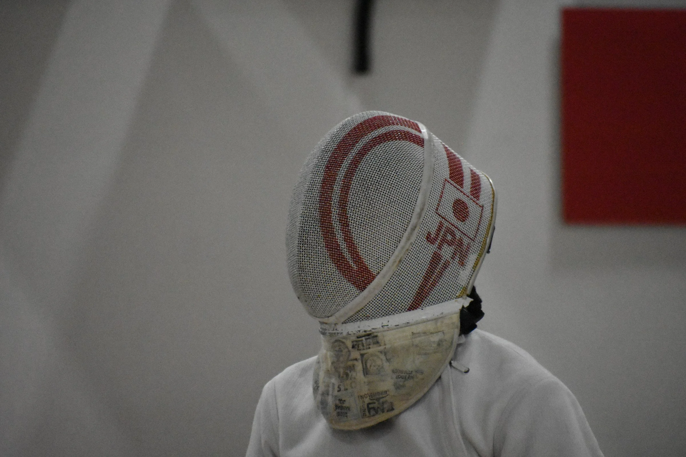 fencing_02.jpg