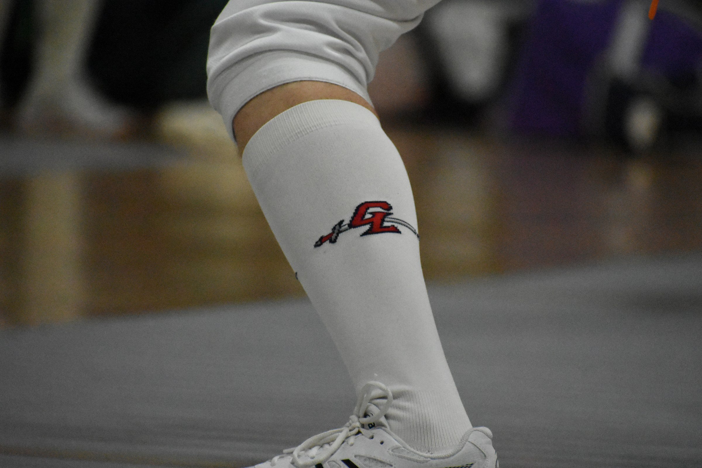 fencing_05.jpg