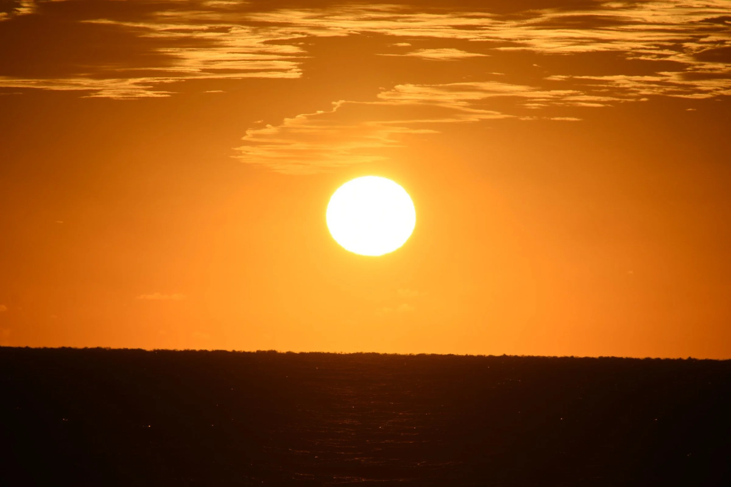 sun.jpg