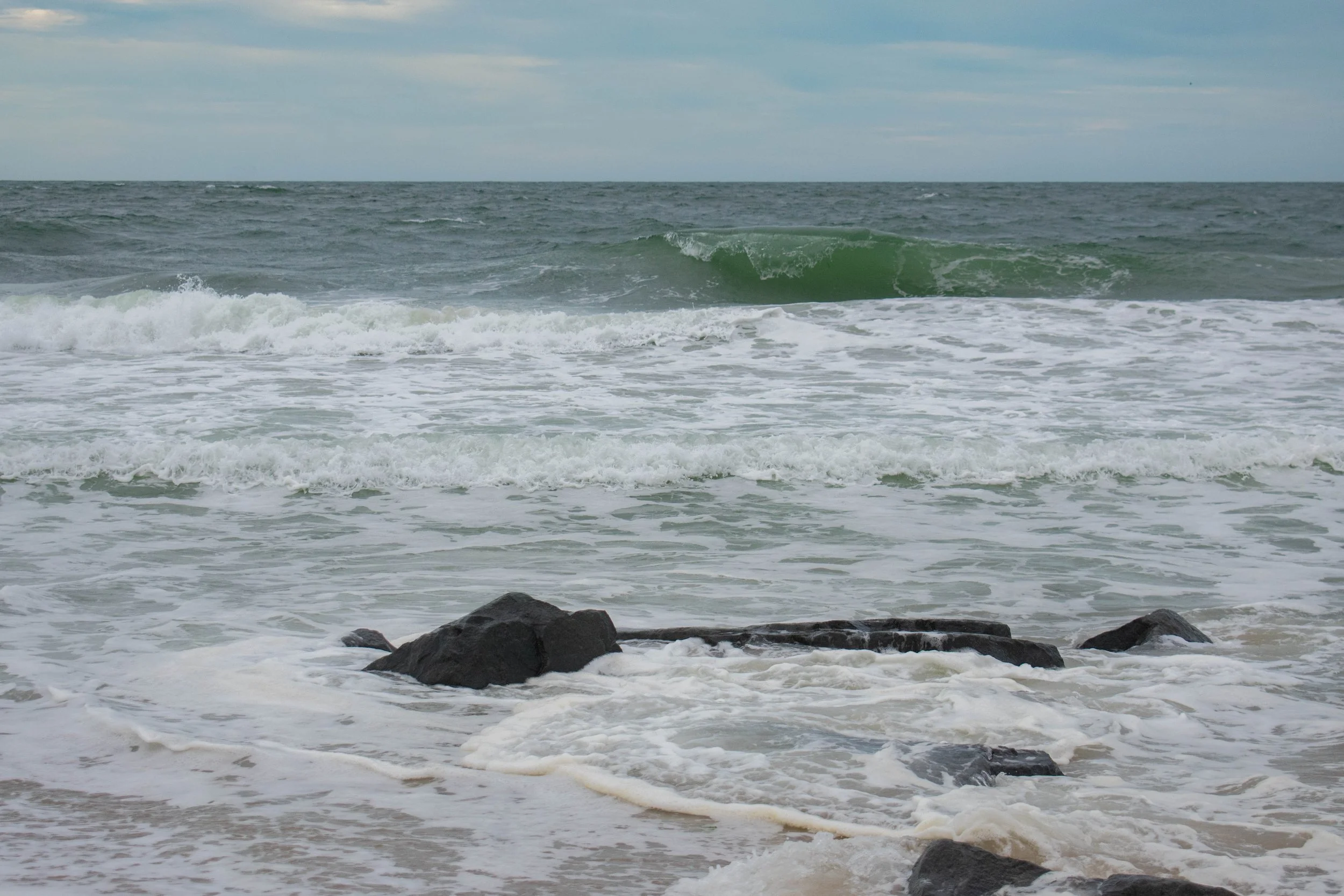 DSC_0030.jpg