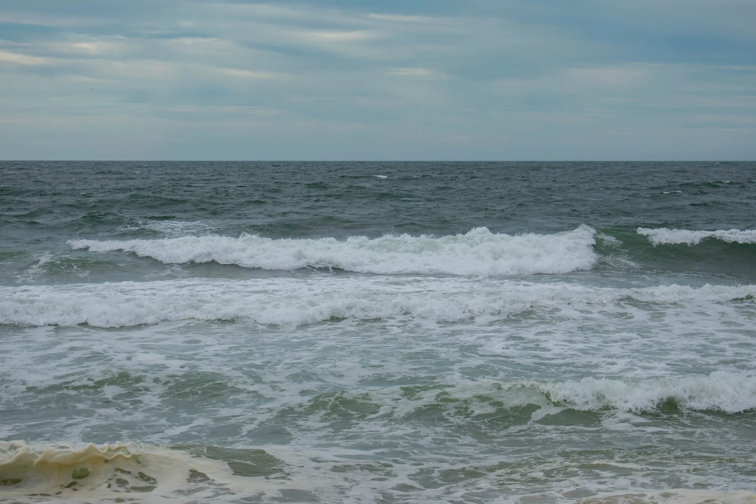 DSC_0007.jpg