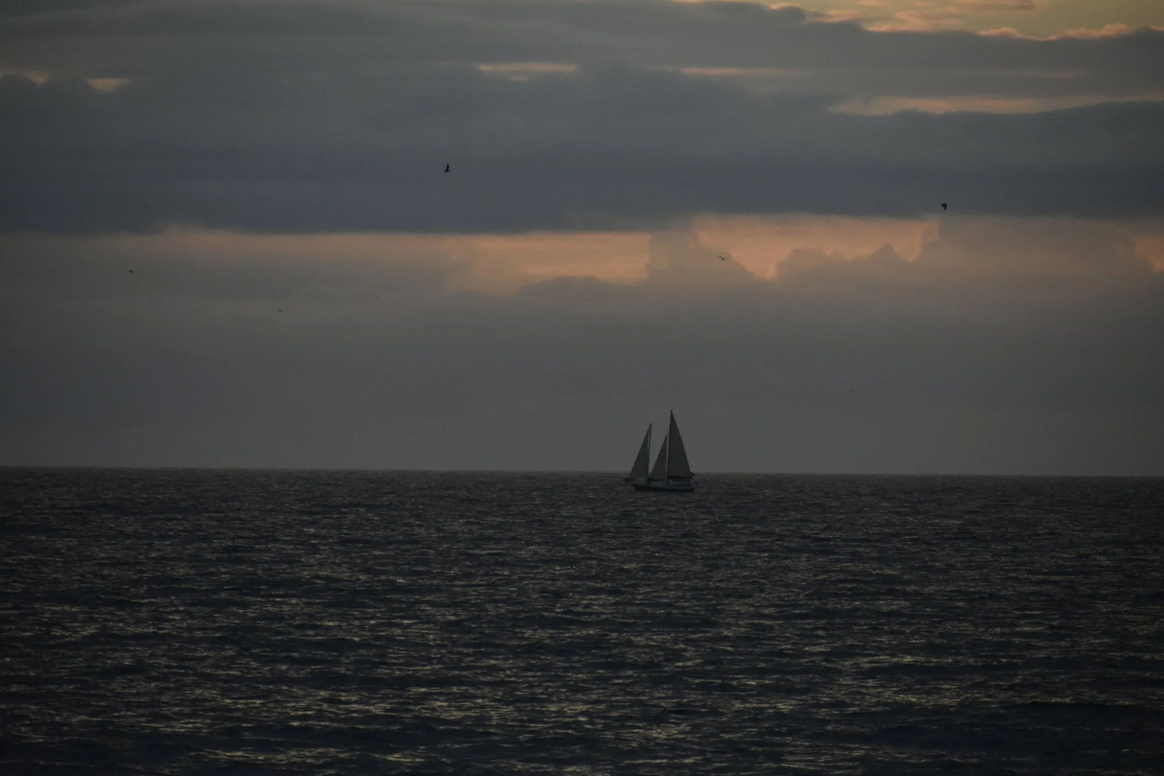 fl_04.jpg