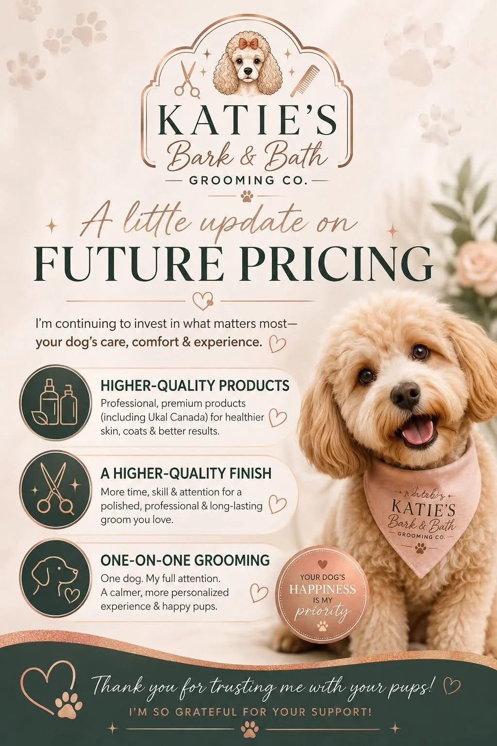 A promotional poster for Katie's Bark & Bath Grooming Co. featuring a cute dog with curly fur wearing a bandana, along with text about future pricing, high-quality products, better finishes, and one-on-one grooming services, with decorative elements and paw print motifs.