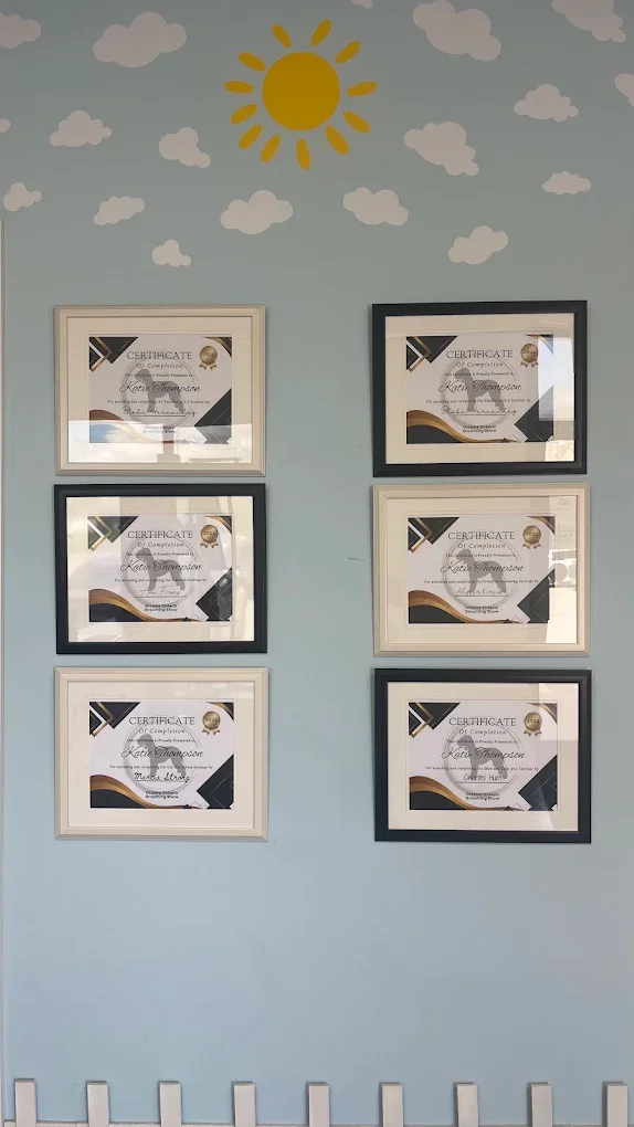 Six framed certificates on a light blue wall, with a painted sun and clouds on the ceiling above.
