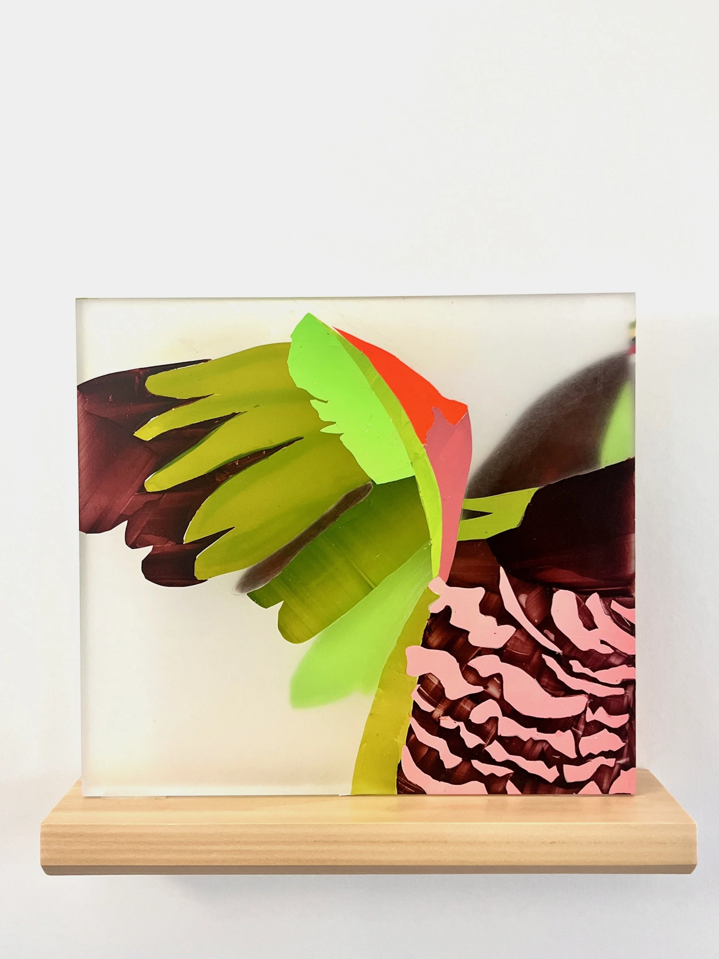 Imperial Amazon Parrot, 2026, acrylic on cast acrylic panel, 9.5 x 10.5 x .75, National bird of Dominica