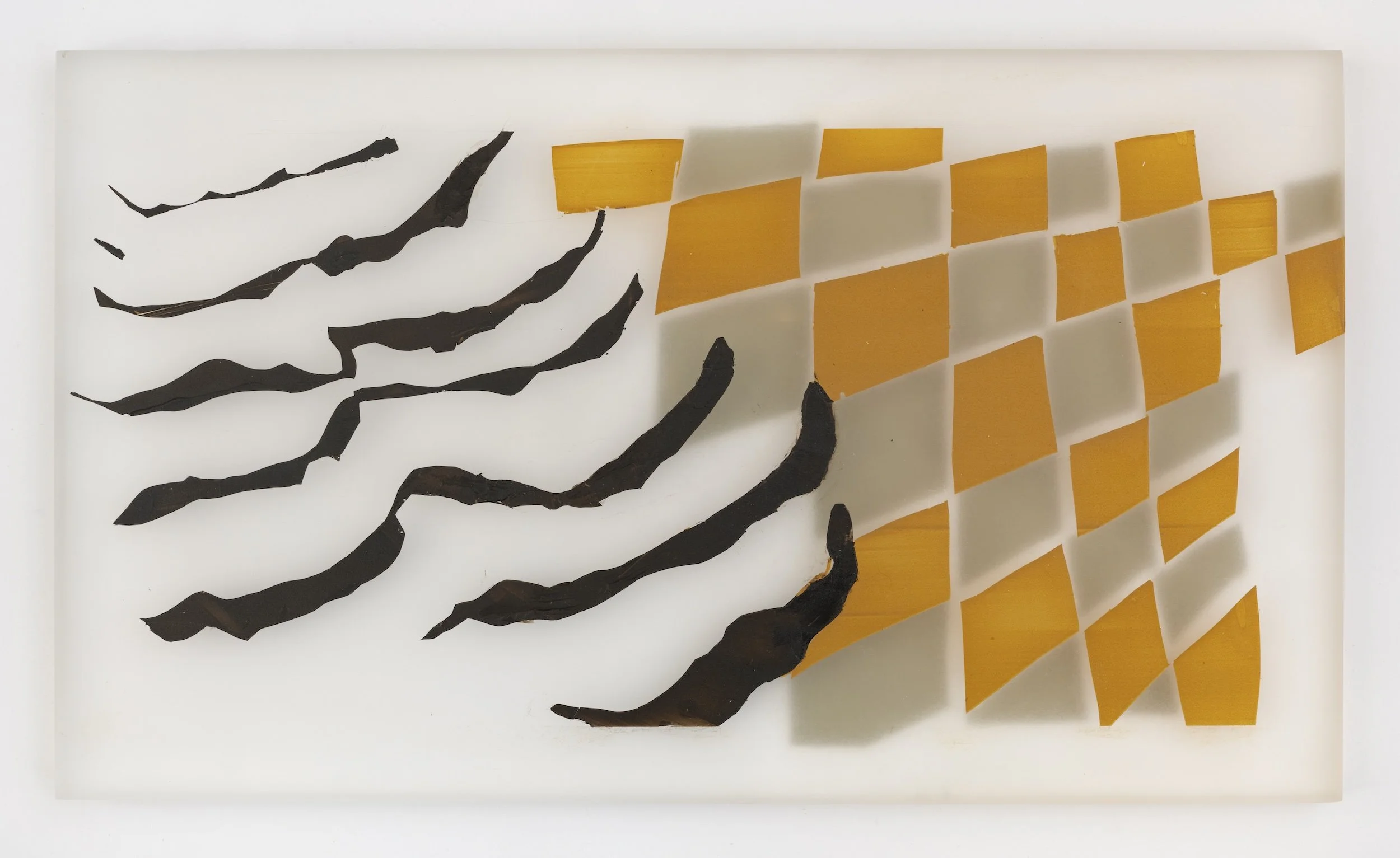 Eastern Whip-poor-will, 2024, acrylic on cast acrylic panel, 7.25 x 12.25 x .75 inches