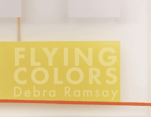 Flying Colors catalog cover