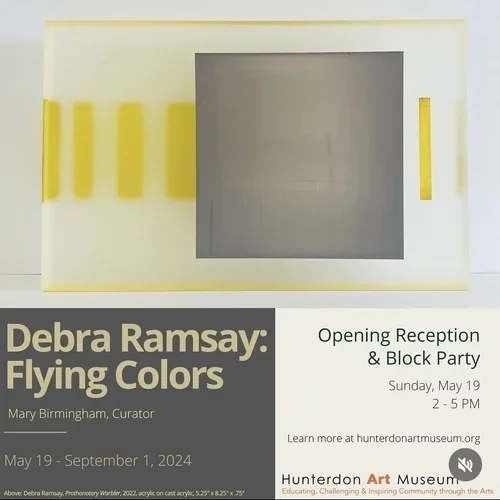 Debra Ramsay: Flying Colors show announcement