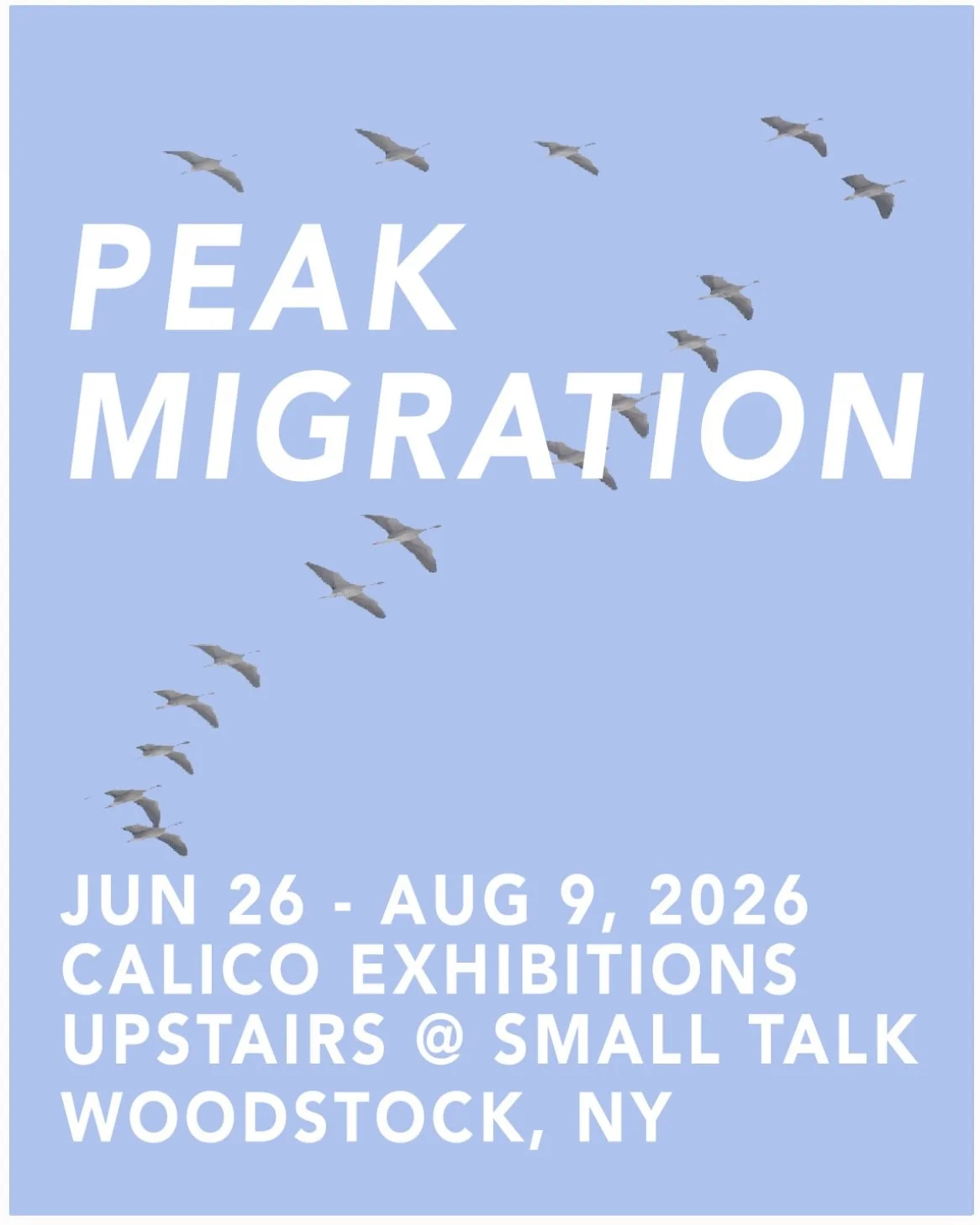 Flyer that reads Peak Migration June 26 – August 9, 2026 Calico Exhibitions Upstairs at Small Talk, Woodstock, NY on a blue background over flying birds