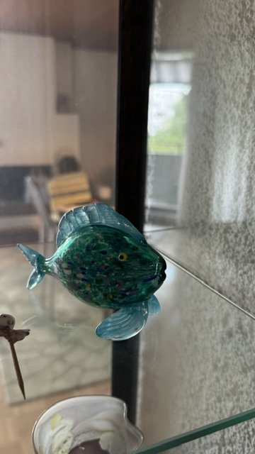 IMG_9330.jpeg