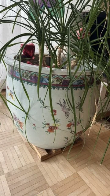 Ming Vase