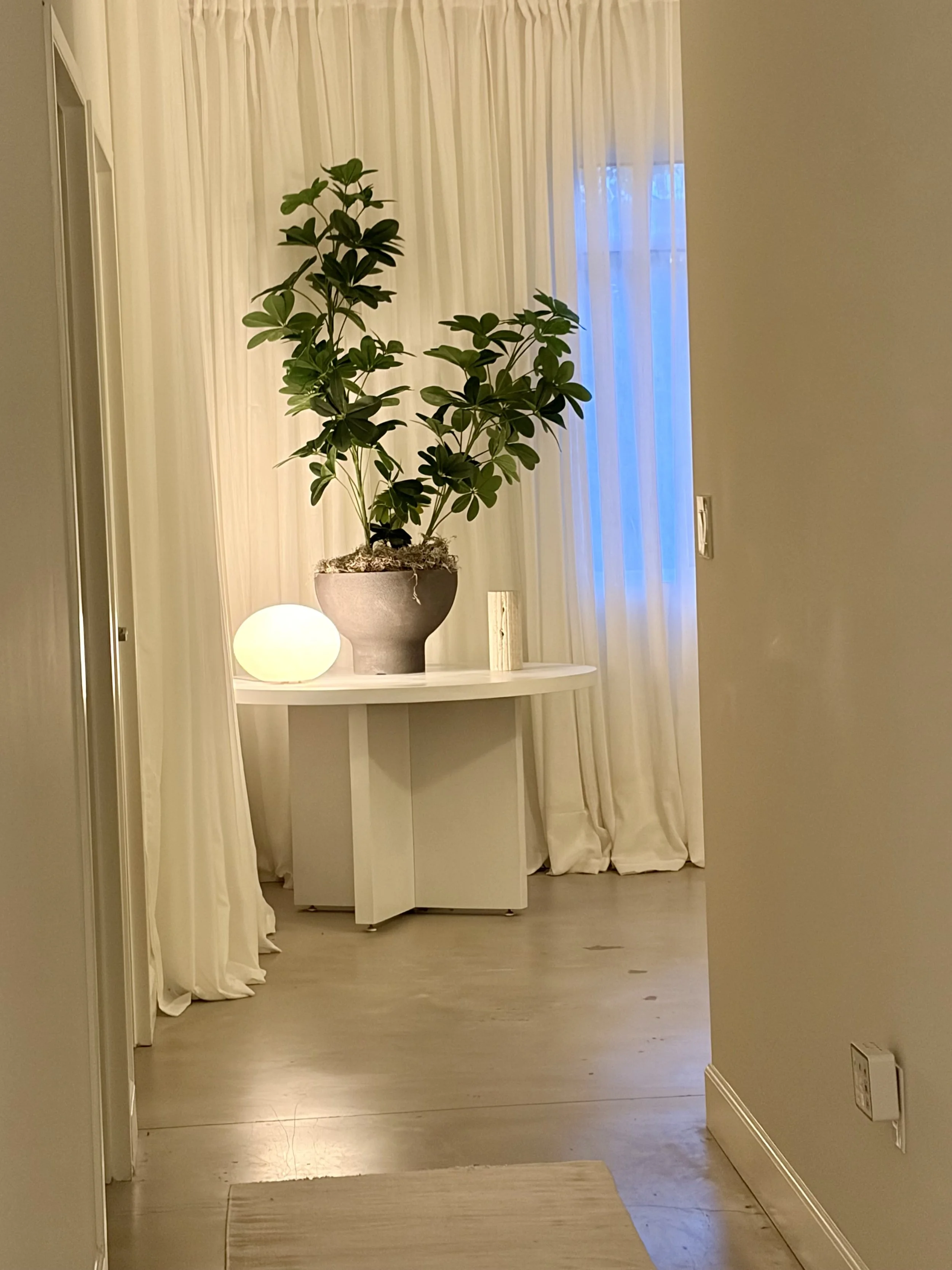 Plant .jpg