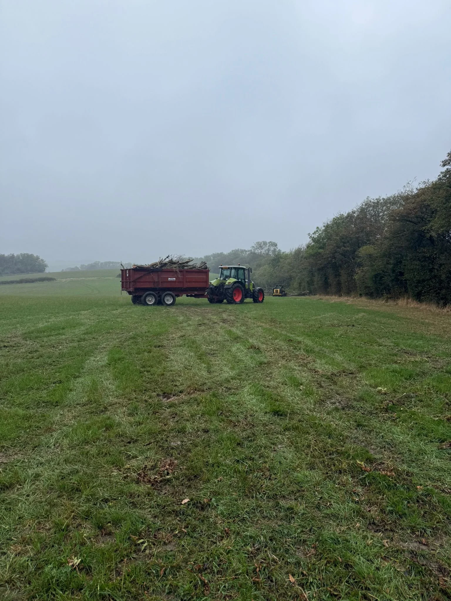 A tractor with a trailer harvesting hay in a field, with trees on the right and a cloudy sky overhead.