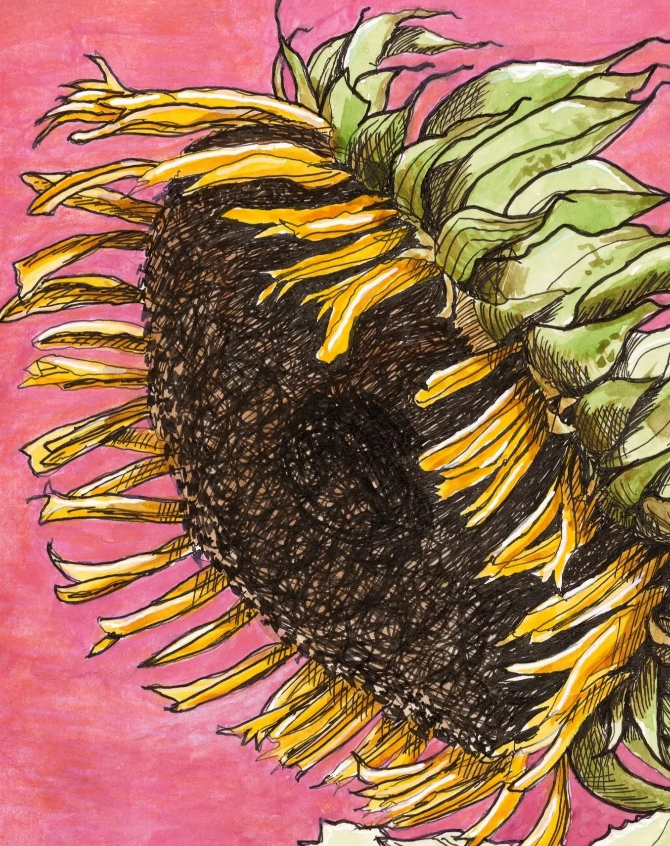 SUNFLOWER+%231+Website+Image.jpg