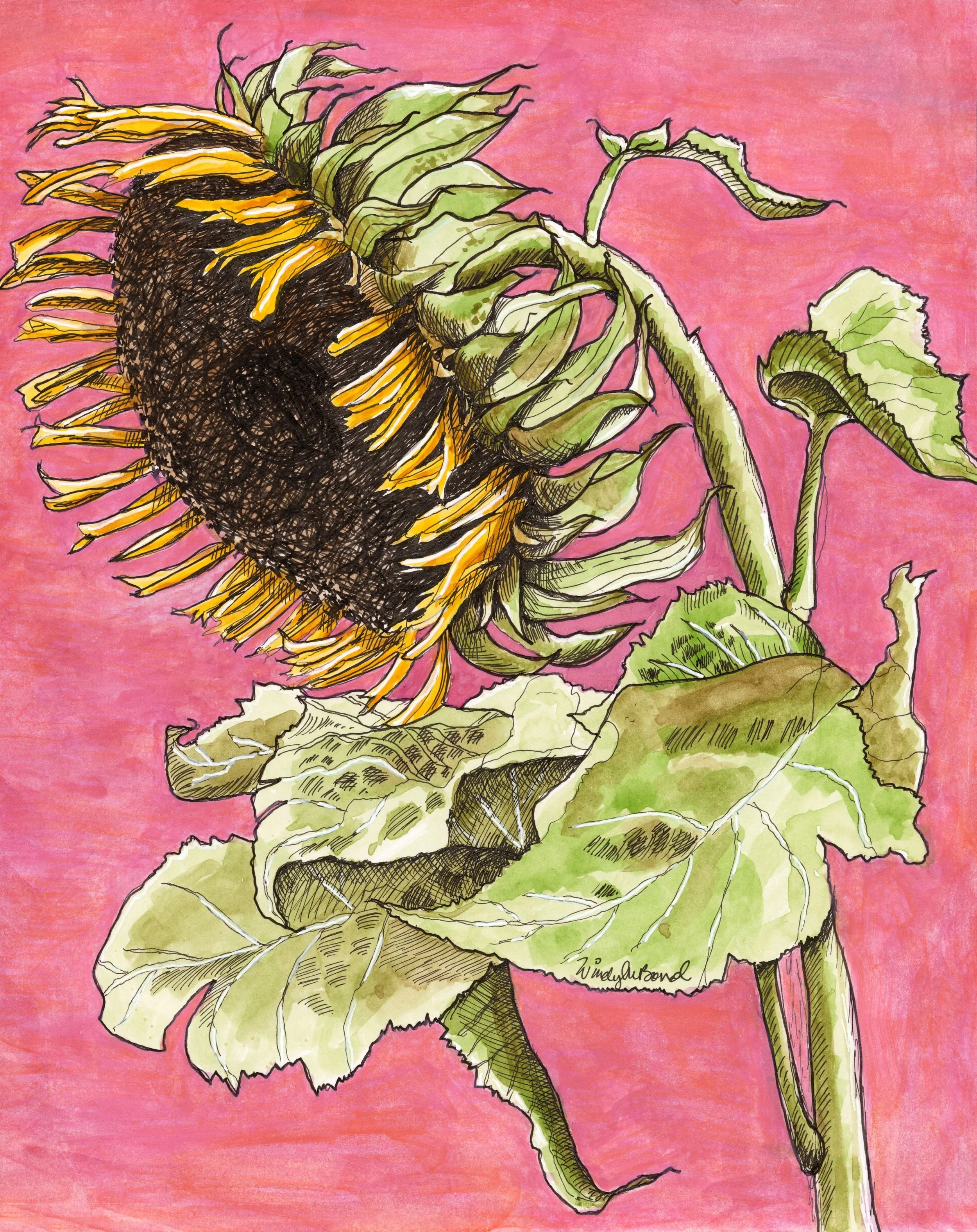 SUNFLOWER #1 Website Image.jpg