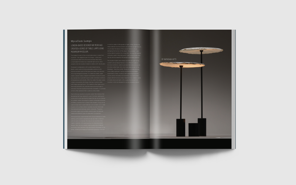GLOSS Magazine Spreads (6).png