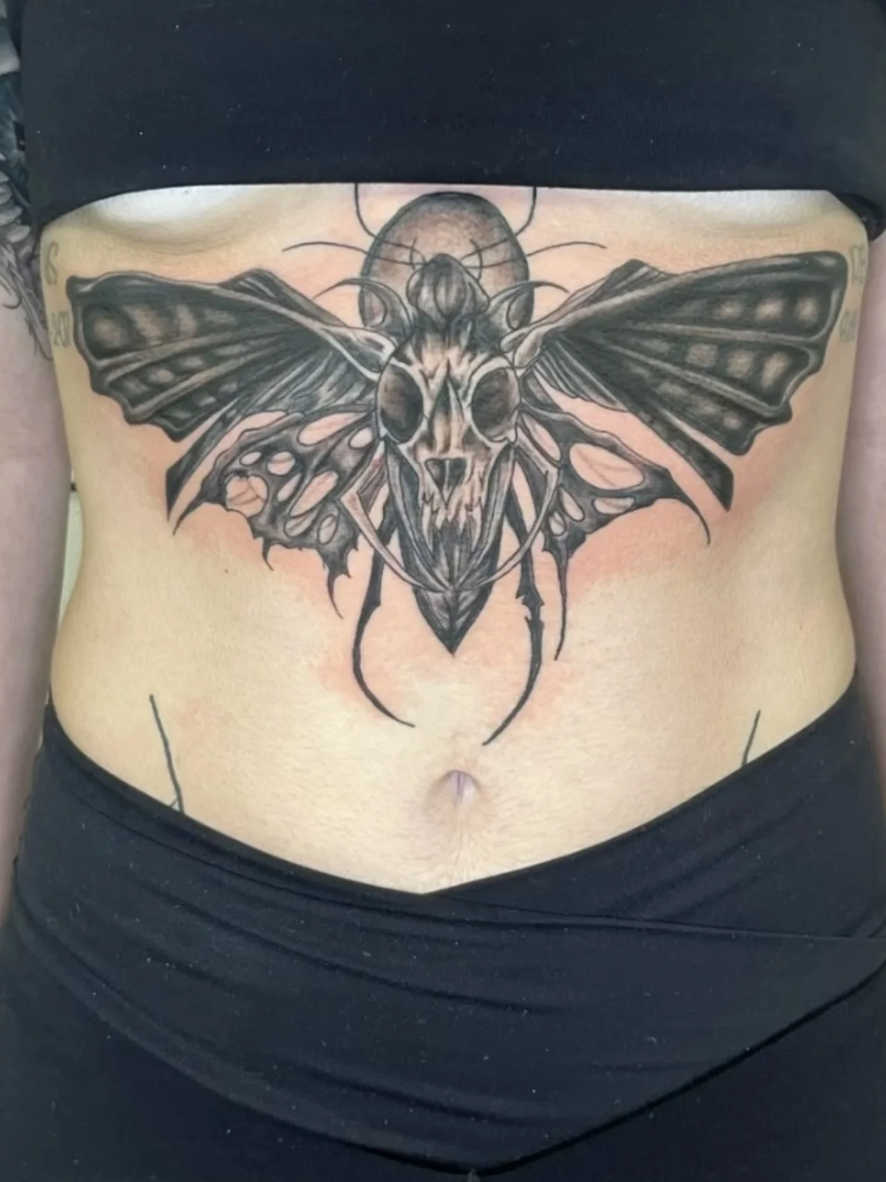 Tattoo of a moth with detailed wings and a skull on its body, centered below the chest, on a person's abdomen.