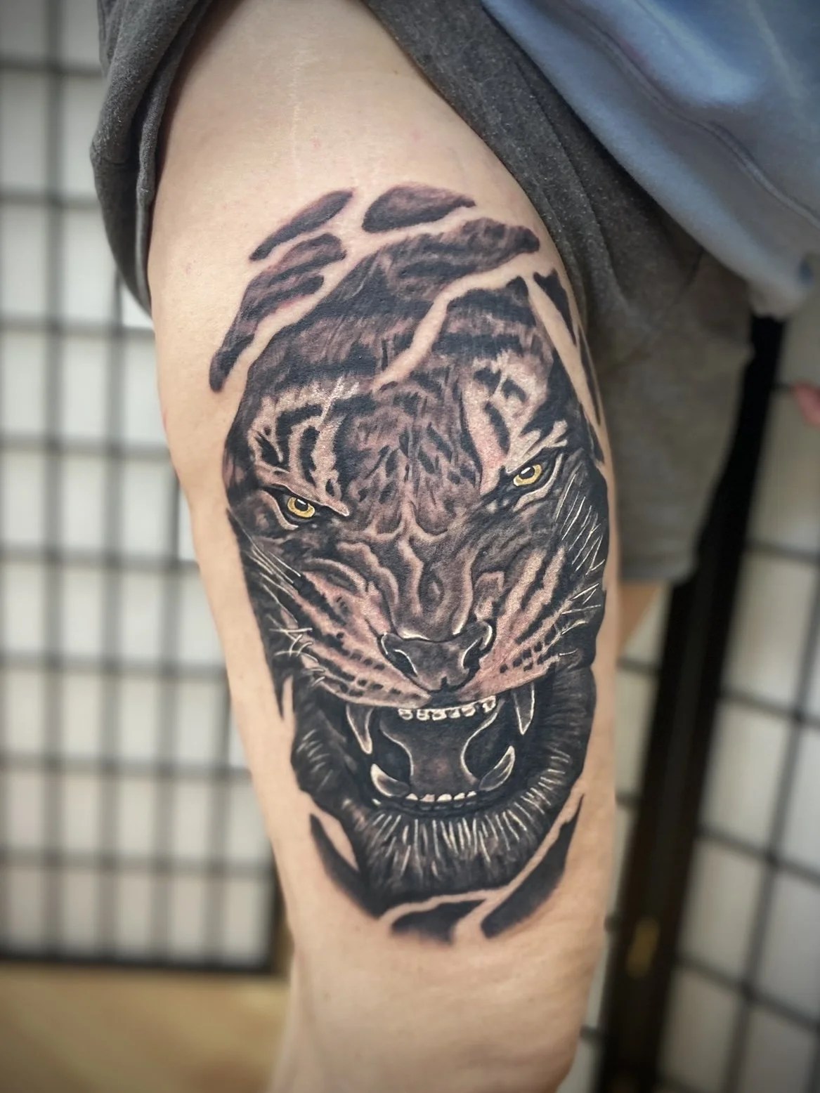 Tattoo of a fierce black panther with sharp teeth and intense yellow eyes on a person's upper arm.