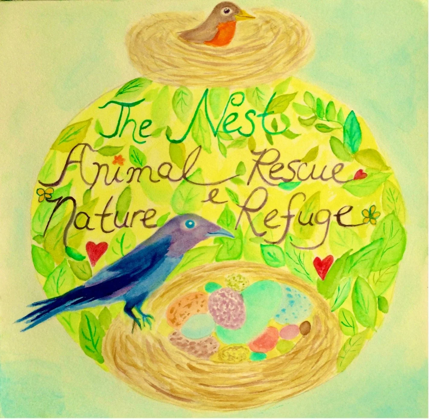 nest.jpg