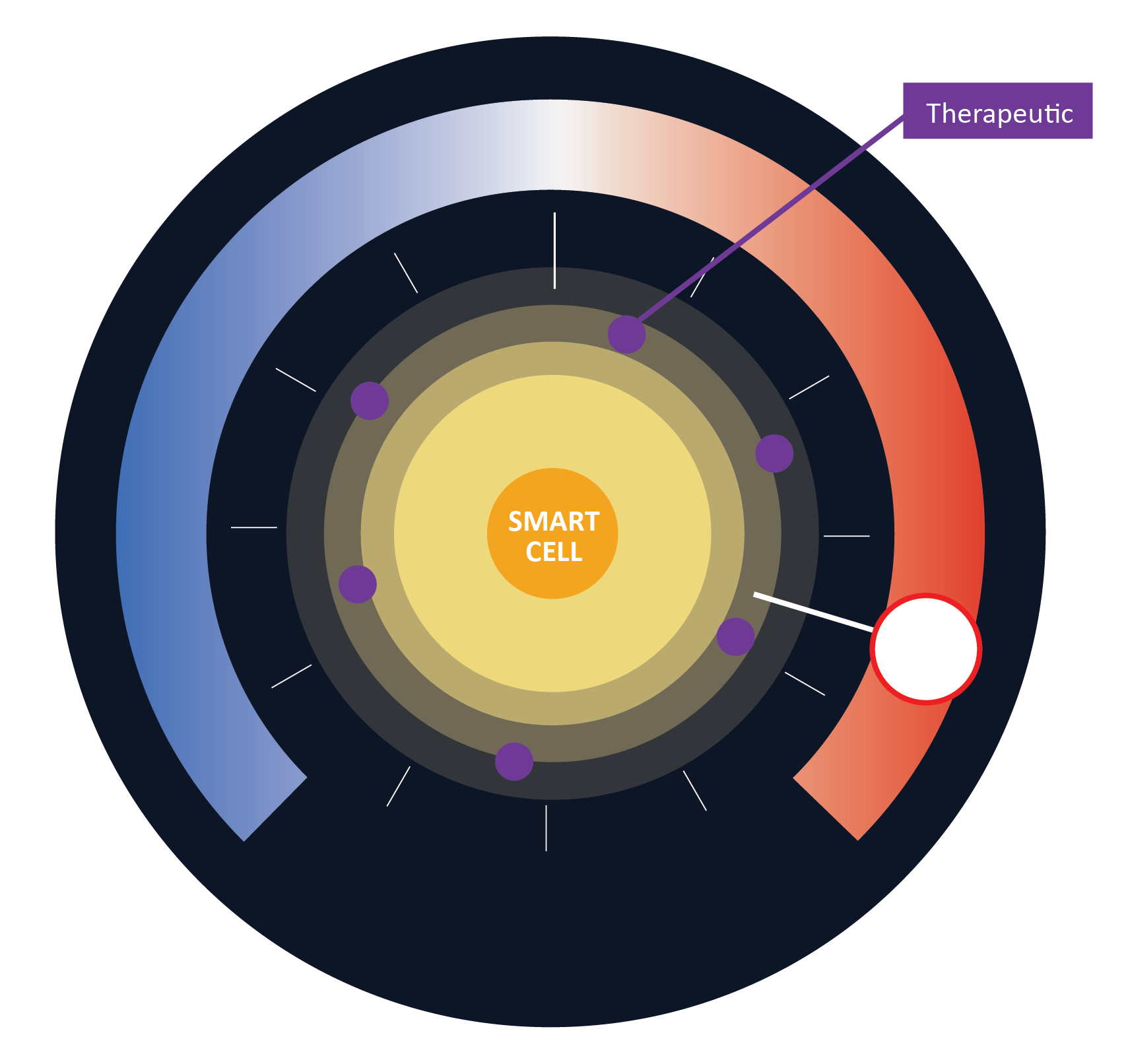 Diagram of a smart cell with color-coded concentric circles around it, labeled with various functions related to therapy, energy, and other cellular processes.