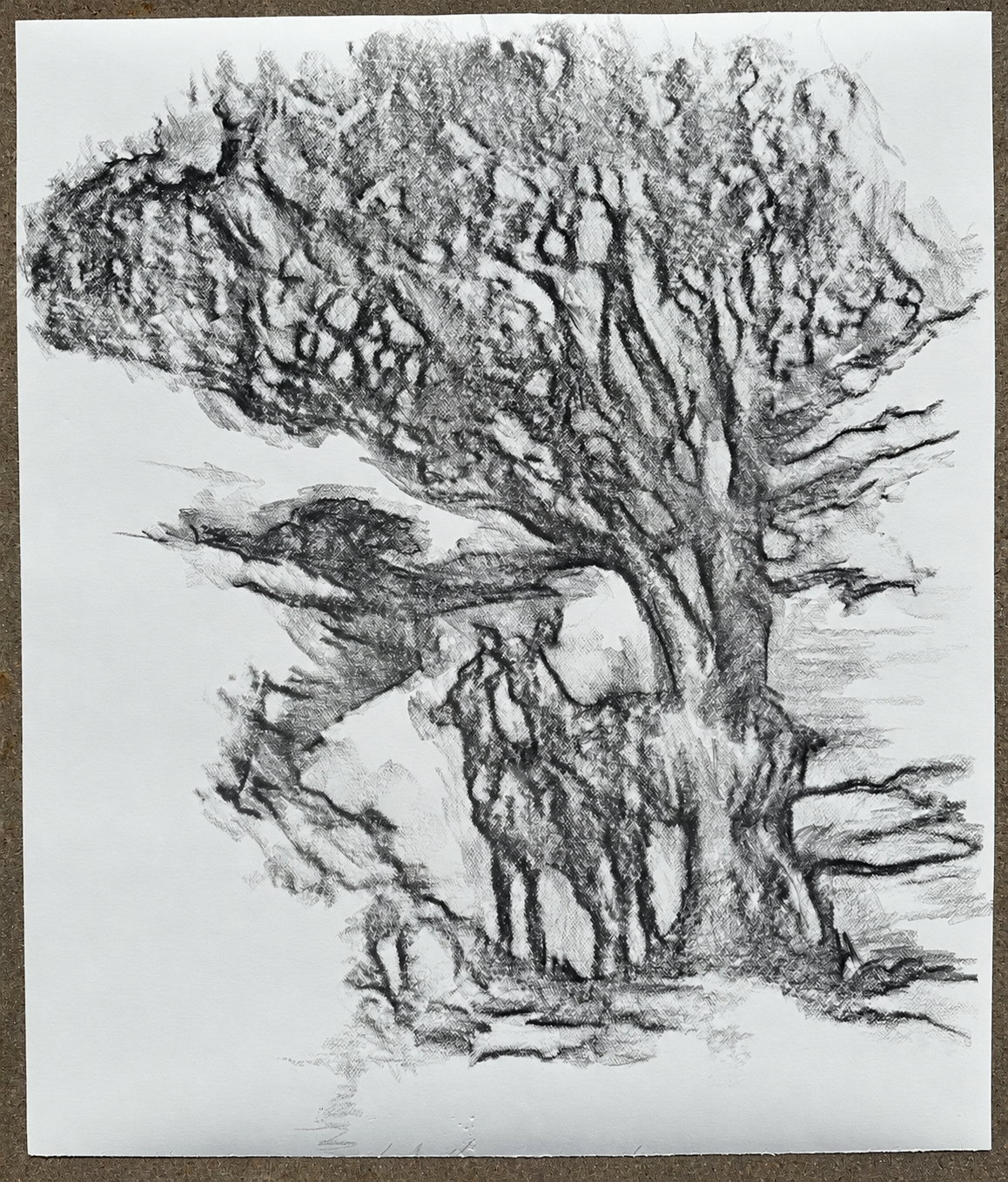 2e8513d9-d7cd-4698-a8c5-2ff8cf2b8a93.png