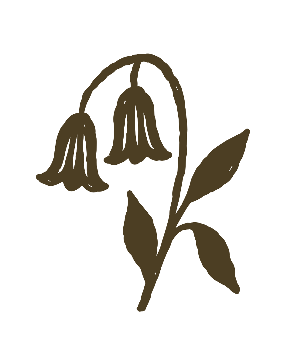 A simple, stylized illustration of a flowering plant with two bell-shaped flowers, two leaves, and a stem, rendered in brown on a black background.