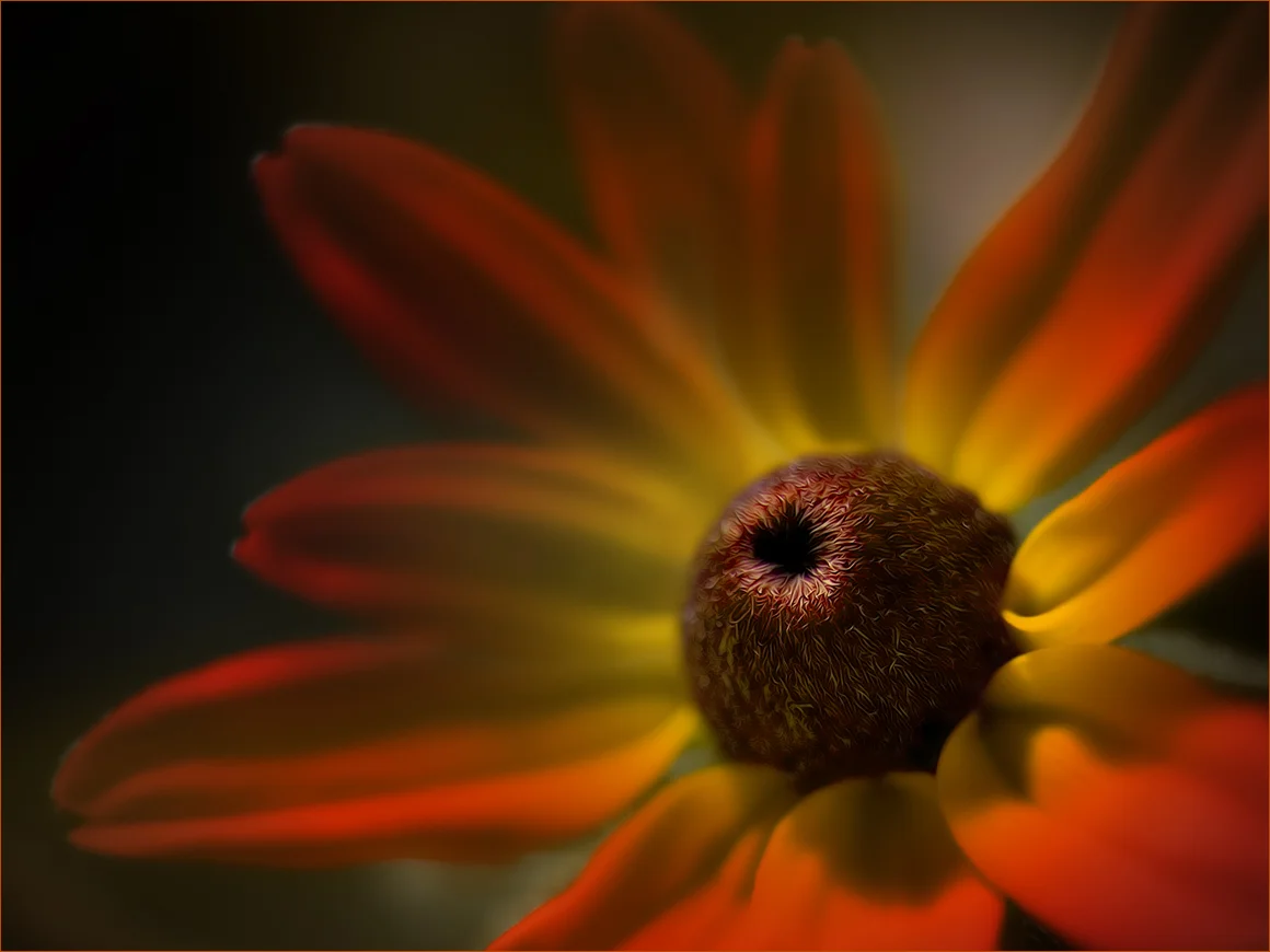 "Morning Vermilion" 