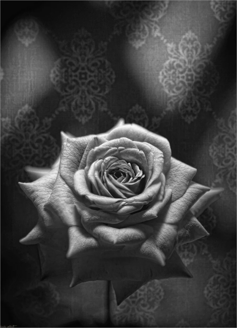 "Dusty Rose"
