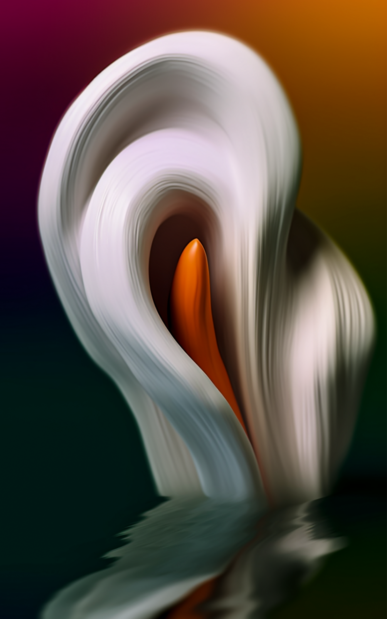 white flower.png