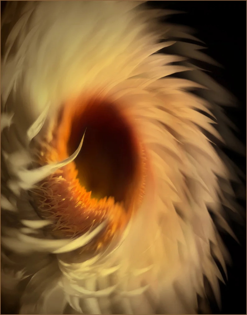 "In a Swirl"