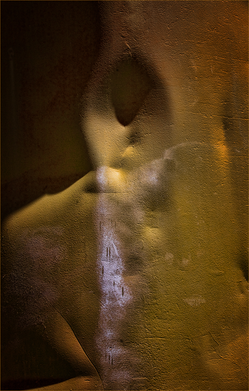 yellow rust.jpg