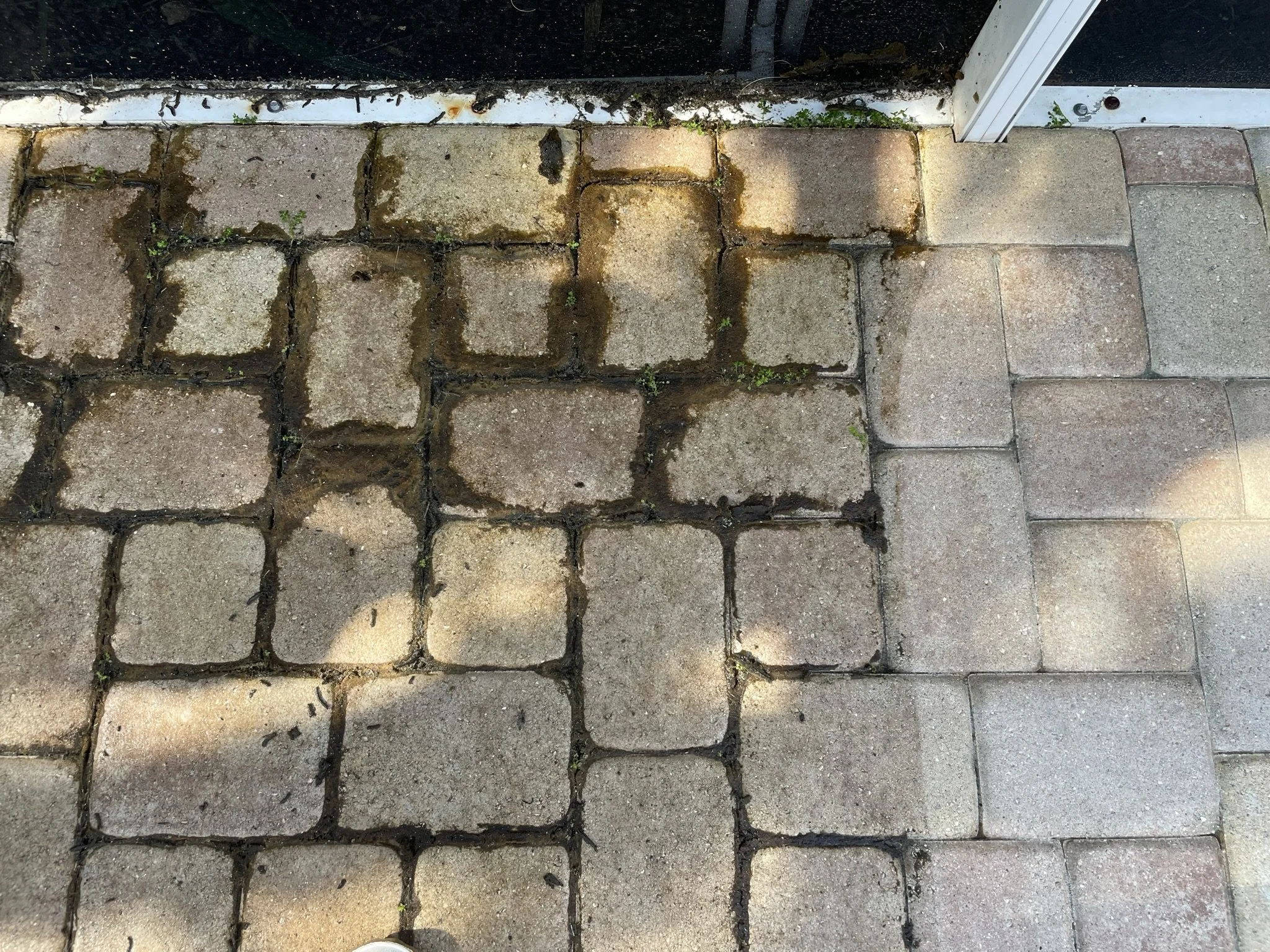 Sarasota Pressure Washing: Rotary Surface Cleaning vs. Wand Striping