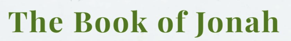 tHEBYour Site Title