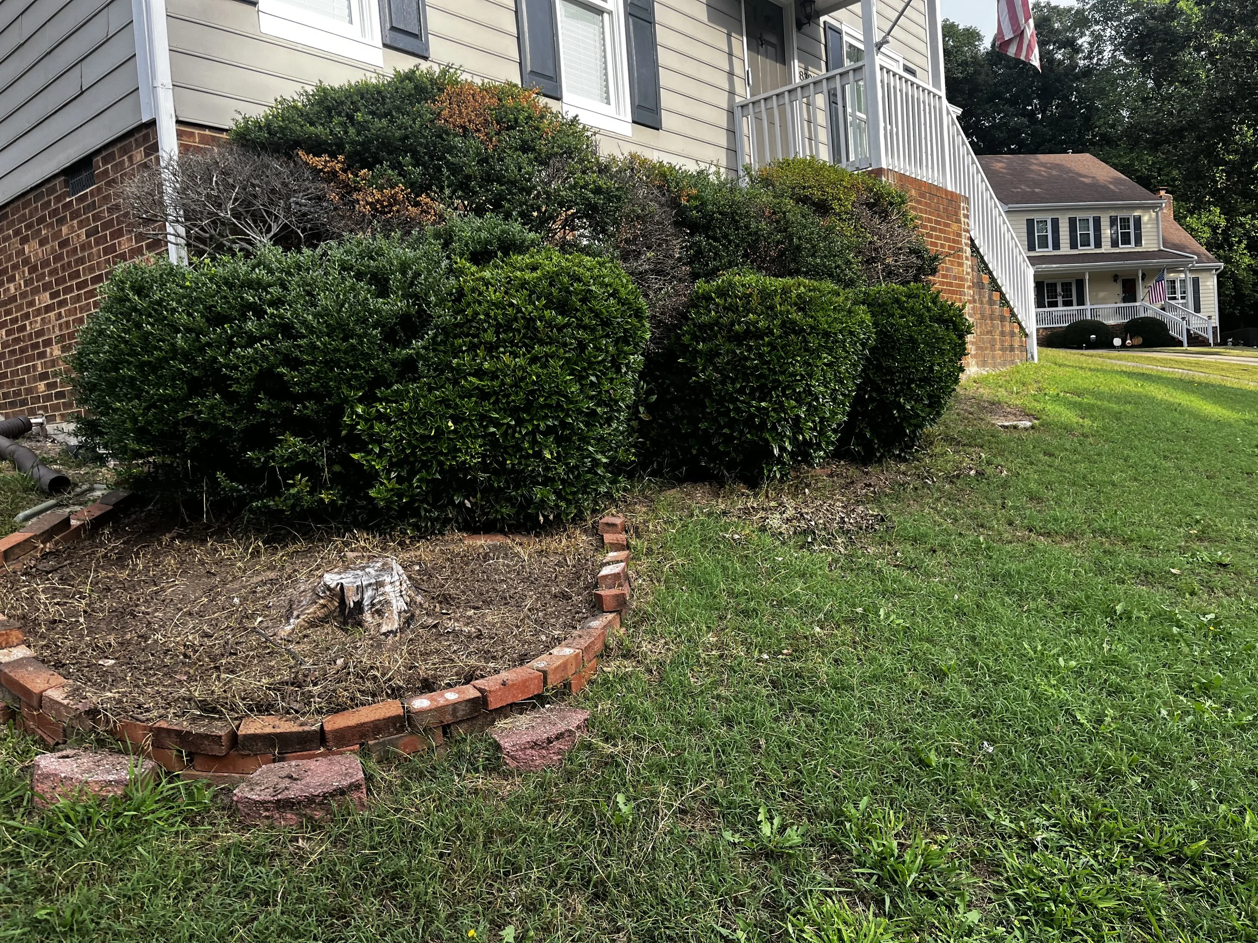 Front yard with well-manicured bushes, a brick garden bed, and two houses in the background, one with white siding and a porch with flags.